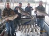 (11/03/2014) - Nice Striped Bass